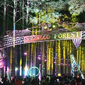 Electric Forest 2015