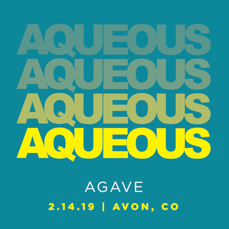 02/14/19 Agave, Avon, CO 